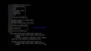 Insert Queries from MySQL Database using Command Prompt