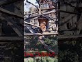 【横浜観光】野毛山動物園の人気者！ shorts