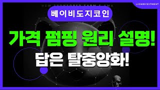 베이비도지코인 가격 펌핑 원리 설명!(답은 탈중앙화!)