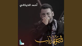 شكوى زينب