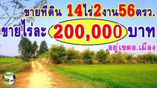 📌(ปิดการขาย)ที่ดิน14ไร่2งาน56ตารางวา.💶ขายไร่ละ200,000บาท👉ต.สระแก้วอ.เมืองจ.สุพรรณบุรี📞098-8451057