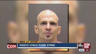Pasco County cyber crimes