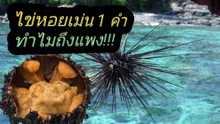 #แจ๋วแจ๋ว  EP3 #ไข่หอยเม่น 1 คำ ทำไมแพง???