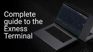 A complete guide to the Exness Terminal