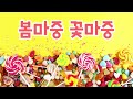 꽃처럼 예쁜 봄노래🌸 봄마중 꽃마중🌷 예쁜 노래 들으며 꽃길만 걸어요~ 유치원 동요ㅣ누리과정 동요ㅣ인기동요ㅣ최신동요ㅣ신나는 동요ㅣ귀여운 노래