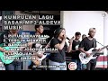 KUMPULAN LAGU SASAK VIRAL 2024 VERSI ALDEVA MUSIK