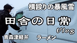 【田舎の日常vlog】まったり今日はものすごい暴風雪の日【青森津軽弁】