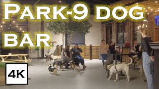 अपने कुत्ते को इस बार में ले जाएं! 🐶🍻 बोस्टन में पार्क-9 डॉग बार · 4K HDR