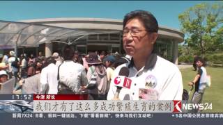 Knews24新闻关注 | 日本：民众举办盛大送行仪式 惜别三只大熊猫回中国