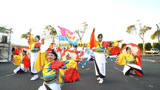 📌九十九里浜『荻組いぶき』・大賞演舞 おみがわYOSAKOIふるさとまつり2019