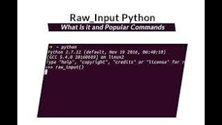 Python Basics Raw Input