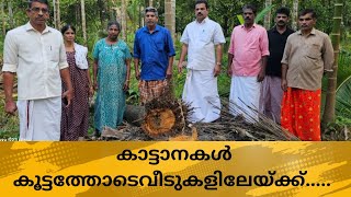 ജീവനും സ്വത്തിനും സംരക്ഷണംനൽകേണ്ട  ഉദ്യോഗസ്ഥർ അലംഭാവംകാണിച്ചാൽ സർവ്വകക്ഷിപ്രതിഷേധസമരവുമായി നാട്ടുകാർ