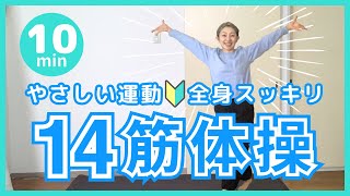 【2025最新版・14筋体操】東洋医学で体の内側から元気になる！毎日続けられるやさしい運動で心も体もポカポカに