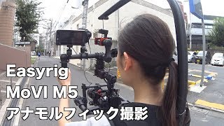 EasyrigとMoVI M5でアナモルフィック映像を撮ってみた【SLR Magic Anamorphot 1.33x 50】【BMCC】【Angenieux 25mm F0.95 】