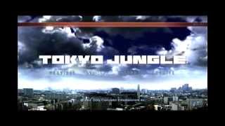 【TOKYO JUNGLE】　私はポメラニアンver.2