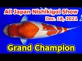 【Grand Champion Koi】All Japan Nishikigoi Show 2021