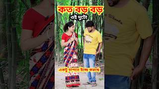 ওই দুটো কি সুন্দর দেখতে 😜 Bangla Comedy video || Comedy video || Funny video #shorts #comedy #funny