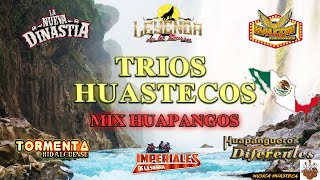 🔥Trios Huapangos Huastecos 2022 Mix🎶La Nuevo Dinastia, Huapangueros Diferentes, Halcon Huastecos