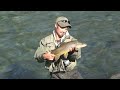 late season dry fly action fly fishing south island nz