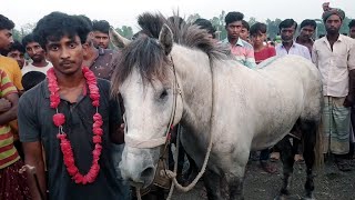 ঘোড়া দৌড় প্রতিযোগিতায় প্রথম স্থান অধিকারী রেসিং ঘোড়া | amazing racing  horse in Bangladesh