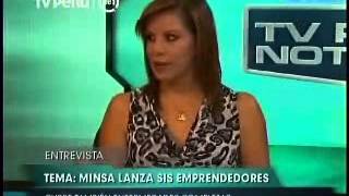 Minsa lanza SIS Emprendedor para trabajadores independientes