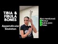 Appendicular Skeleton: Tibia & Fibula Bones