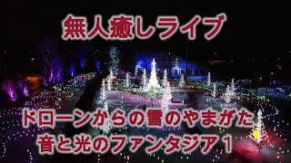 無人癒しライブドローンからのやまがた音と光のファンタジア