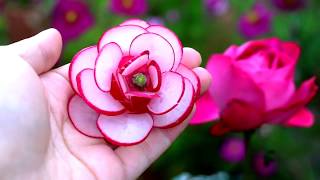 Beautiful Garnish of Radish Rose Flowers Designs:  Vegetable and Fruit Carving