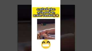 #newtrending අඩෝ තාත්තා වගෙමයි😂#respect #love #funny #theend #waitfortheend #amazing #sad #reels