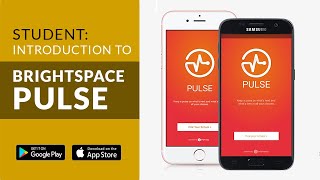 Student: Introduction to Brightspace Pulse