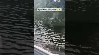 Speed Of crocodile in water | See fearly view #shorts #short #viral #trending #viralshorts