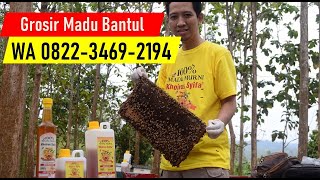 WA 0822-3469-2194 DISTRIBUTOR MADU ASLI MURNI BANTUL JOGJA - JUAL HARGA GROSIR MURAH 100% ASLI