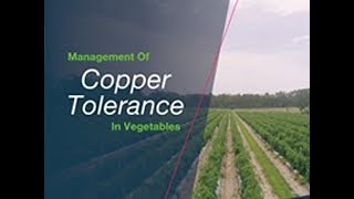 Copper tolerance research targets Serenade Opti as an alternative for disease control in vegetables