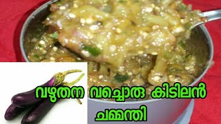 BRINJAL CHAMMANTHI/EGG PLANT CHAMMANTHI|കത്തിരിക്ക കൊണ്ടൊരു കിടിലന് ചമ്മന്തി