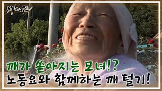 깨가 쏟아지는 모녀!? 노동요와 함께하는 깨 털기! MBN 210917 방송