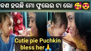 ମୋ ଫୁଲେଇ ଟା କଣ hauchi😂,#cutie pie Puchkin, @minakshimishra3506, #odiavlog, #odia vlog