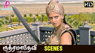 Rudhramadevi Tamil Movie | Scenes | Anushka saves her kingdom | Vikramjeet arrested