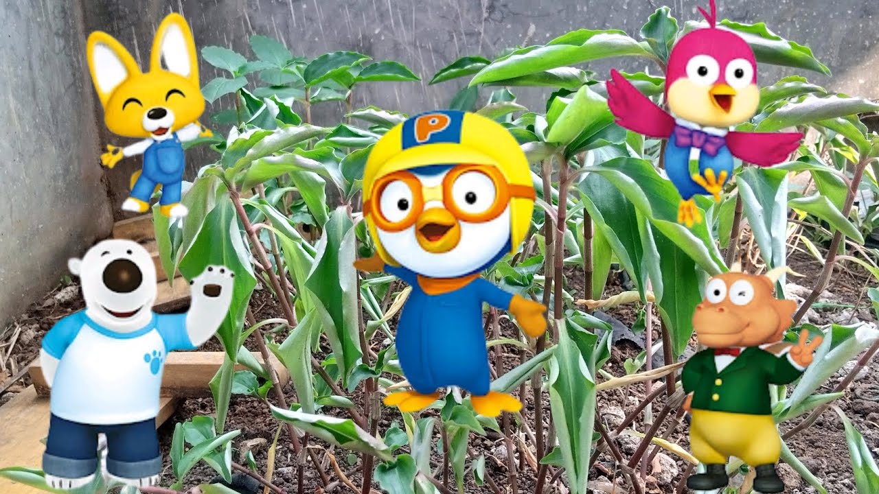 Mencari Pororo, Edy, Poby, Tong Tong, Harry | Menemukan Pororo Edy Poby ...