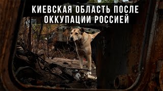 Киевская область после российской оккупации. Буча, Гостомель, Чайки, Стоянка, Ирпень.