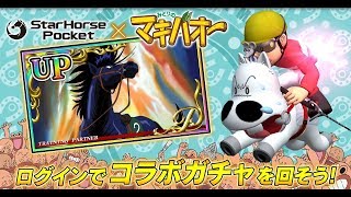 【スタポケ】×【みどりのマキバオー】コラボ開催！≪StarHorsePocket≫