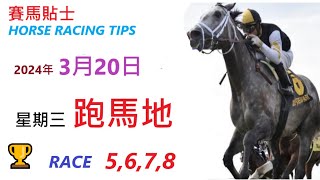 「賽馬貼士」🐴  2023 年 3 月 20 日 沙田🐴    香港賽馬貼士  HONG KONG HORSE RACING TIPS  🐴 RACE  5  6  7  8