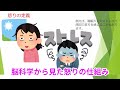 【らひた】脳科学から見た怒りとは？怒りの脳科学的メカニズムと感情調節の方法