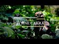 HYMNE CAKRA - KOSTRAD