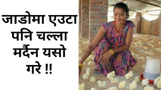 जाडोमा एउटा पनि चल्ला मर्दैन यसो गरे ! Broiler palan #local_kukhura