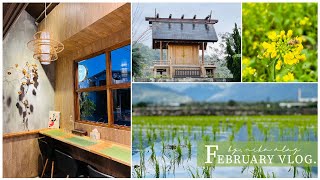 FEBRUARY VLOG》4｜二月的過年連假｜台東伯朗大道、天堂の路、鹿野高台、鹿野神社⛩️、舒食男孩、比西里無人海灘🌊、大巴六九景觀餐廳、華源景觀台 #vlog #台灣 #台東 #池上