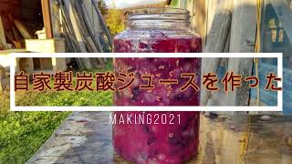 自家製、炭酸ぶどうジュース作りHomemade carbonated juice