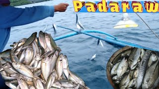 Ep66:Magdamag ang pasibad (Pag set up at pag arya ng kaskas)rentex fishing lure