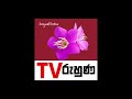 ඇත්ත විත්තිකරුවන් ගැන ඩලස් පාර්ලිමේන්තුවේ කී ඇත්ත කතාව 2021 11 19