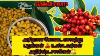 SUMMER FRUITS | TAMIL | கோடைகால பழங்கள் | பாலை பழம் | வீரை பழம் | පලු | වීර | trendy Crush