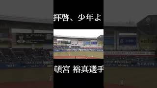 【プロ野球PV】拝啓、少年よ×頓宮裕真#プロ野球#頓宮裕真